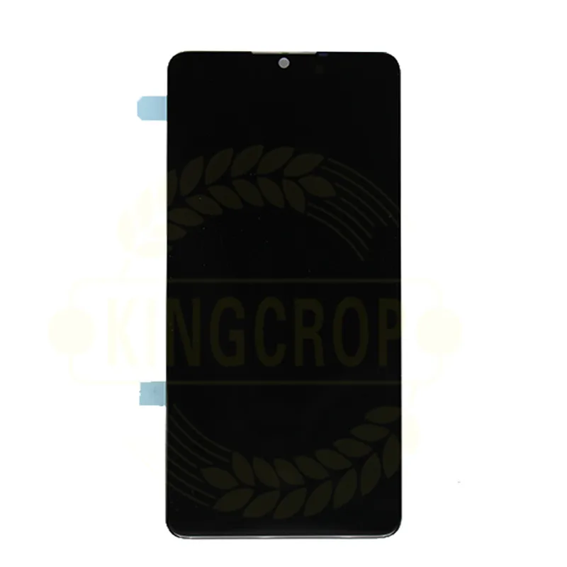 P30 lcd