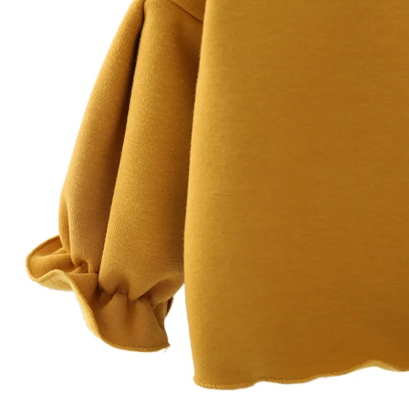 SZ0442Y (1)