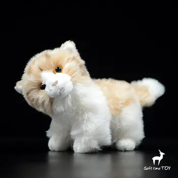 

Plush Cats Doll Toys Children Simulation Animals Yellow Marking Cat Dolls Birthday gifts
