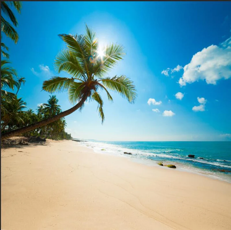 Prix pour Vinyle mince Photographie Fond Ordinateur Imprimé Toile de Fond Balnéaire Plage pour Photo Studio stade milieux cm5498 Prix pour Vinyle mince Photographie Fond Ordinateur Imprimé Toile de Fond Balnéaire Plage pour Photo Studio stade milieux cm5498