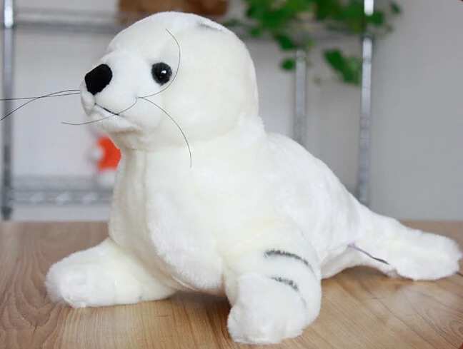 sea lion teddy