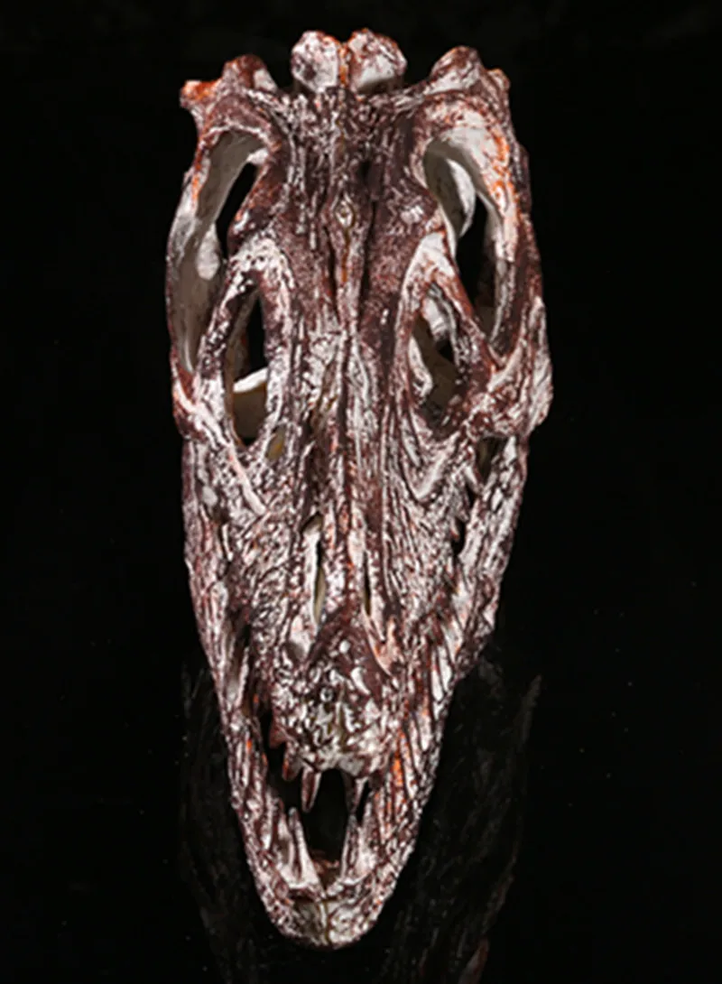 VelociRaptor Cranio Della Resina Replica Modello di Testa di Scheletro  Collezione Disegno Insegnamento - AliExpress, image size:800x1090