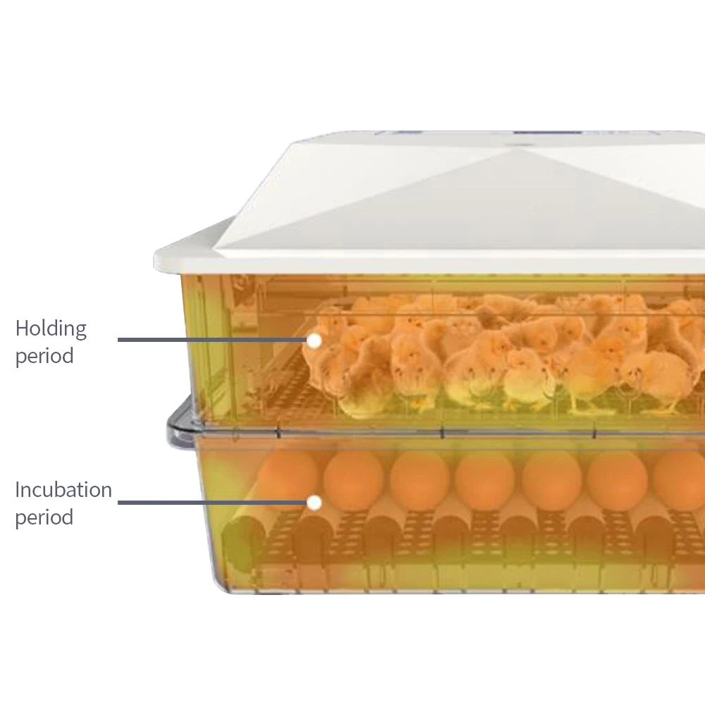 56 яиц инкубатор цифровой яйца птицы инкубатор с автоматическим контролем температуры и влажности авто-поворот для курицы утки и т. Д