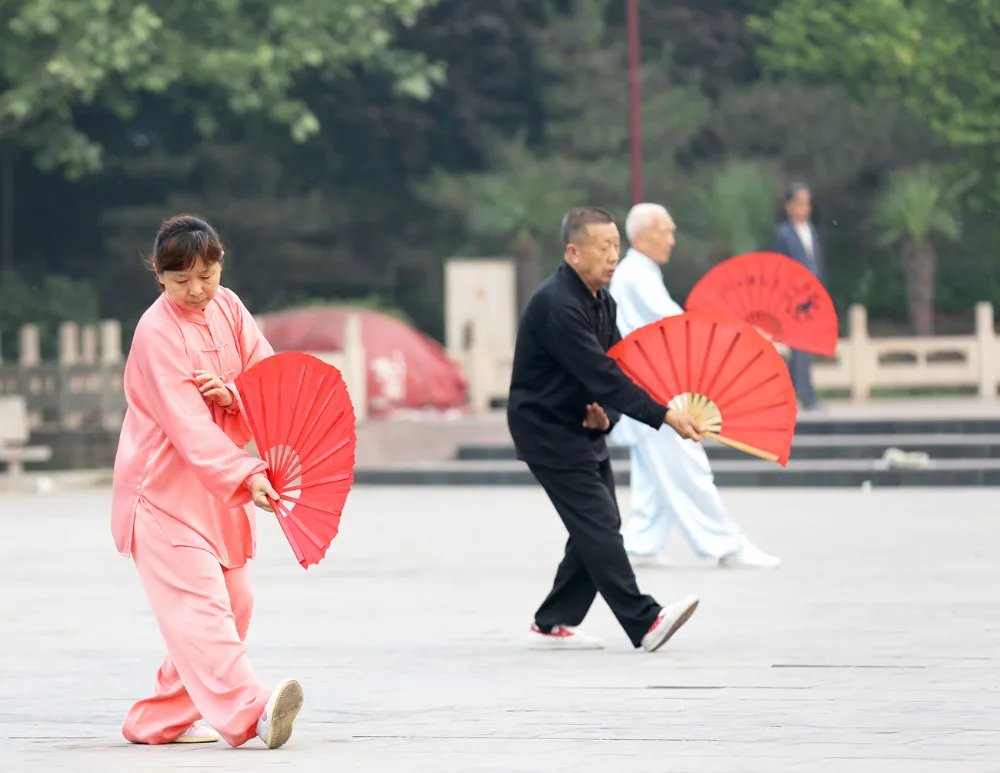 tai chi fan
