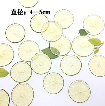 

10pcs Dried Pressed 3-5cm Green Lemon Slices Plant Herbarium For Jewelry Photo Frame Phone Case Bookmark Postcard Making DIY
