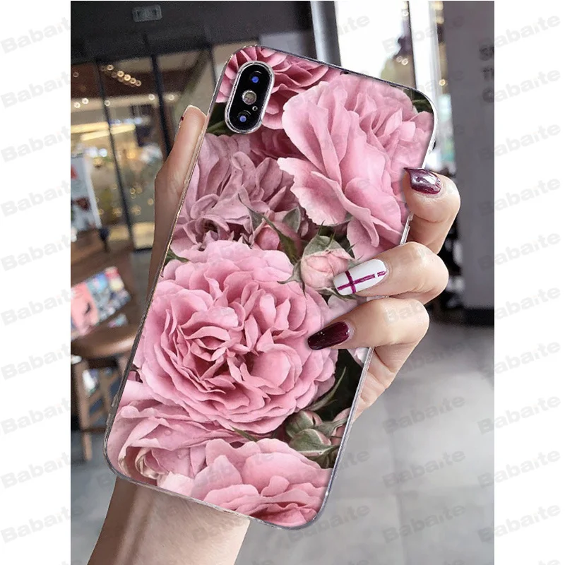 Pink Purple Peony