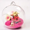 Soporte transparente para planta de flores, terrario florero colgante, contenedor de vidrio hidropónico, decoración para hogar, oficina, boda ► Foto 1/5