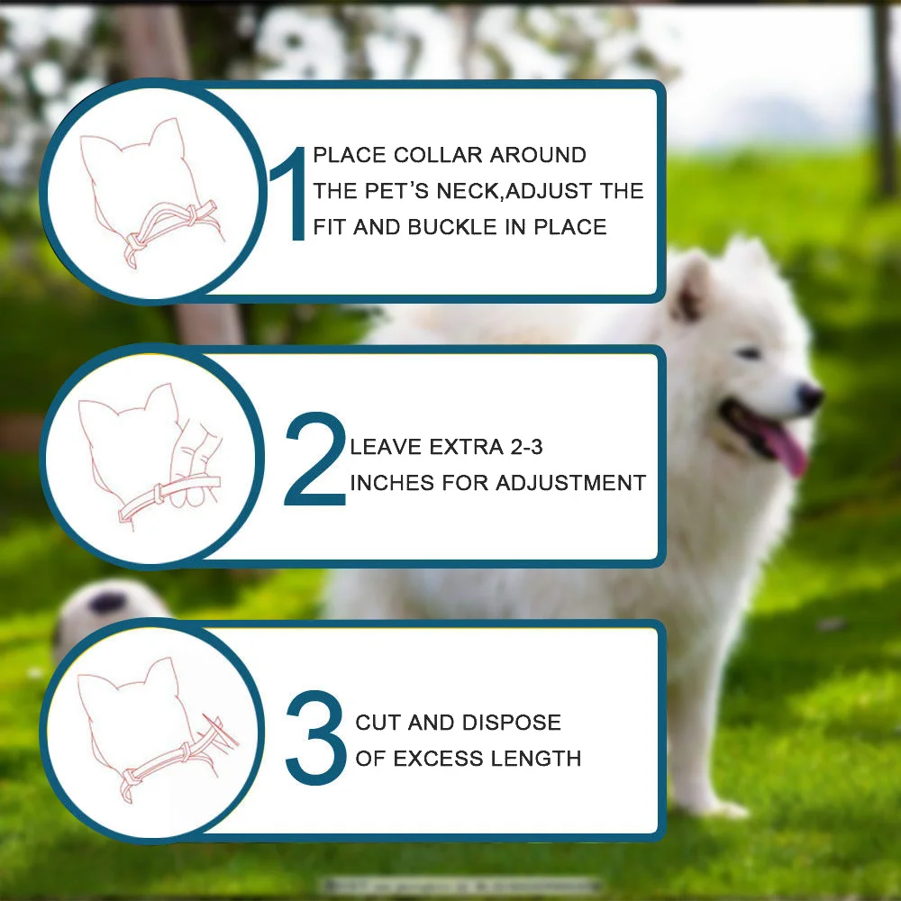 Ошейник для собак против блох от клещей, комаров, открытый защитный Регулируемый ошейник для питомцев 8 месяцев длительная защита