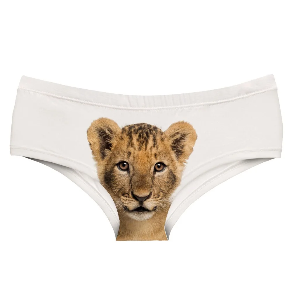 54991 LITTLE LION (3)