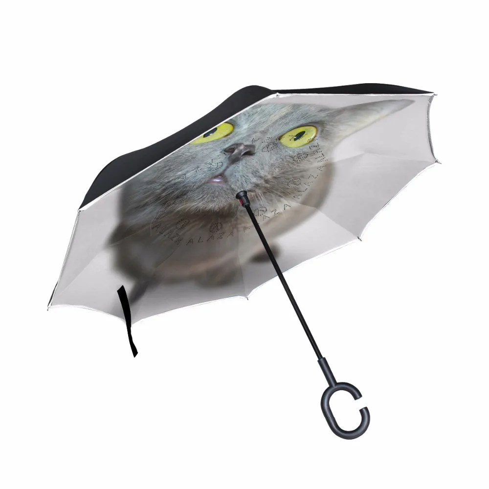 g2039242p183c217s313_0