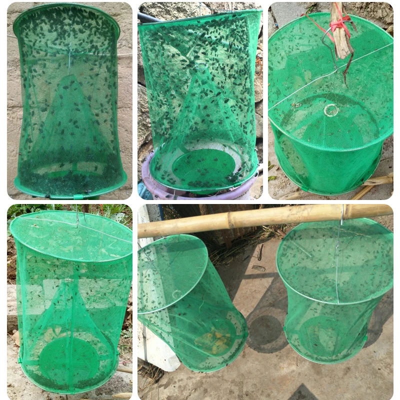 

Fly kill artifact killer in addition to catching fly trap fly traps catching cage home strong outdoor