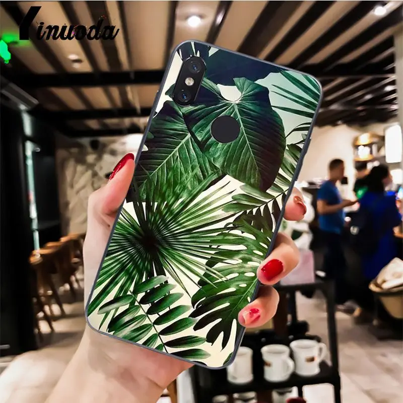 Palm tree Leaves pattern  