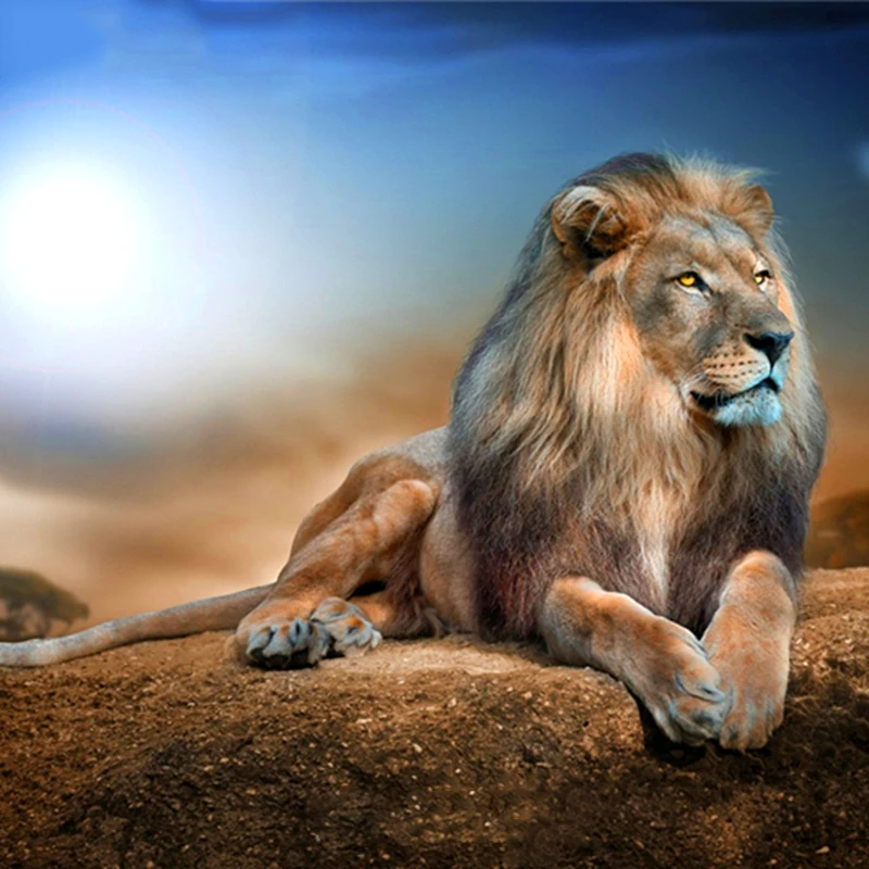 

Full Square/Round Drill 5D DIY Diamond Painting "Desert lions" 3D Embroidery Cross Stitch Mosaic Rhinestone Home Decor Gift