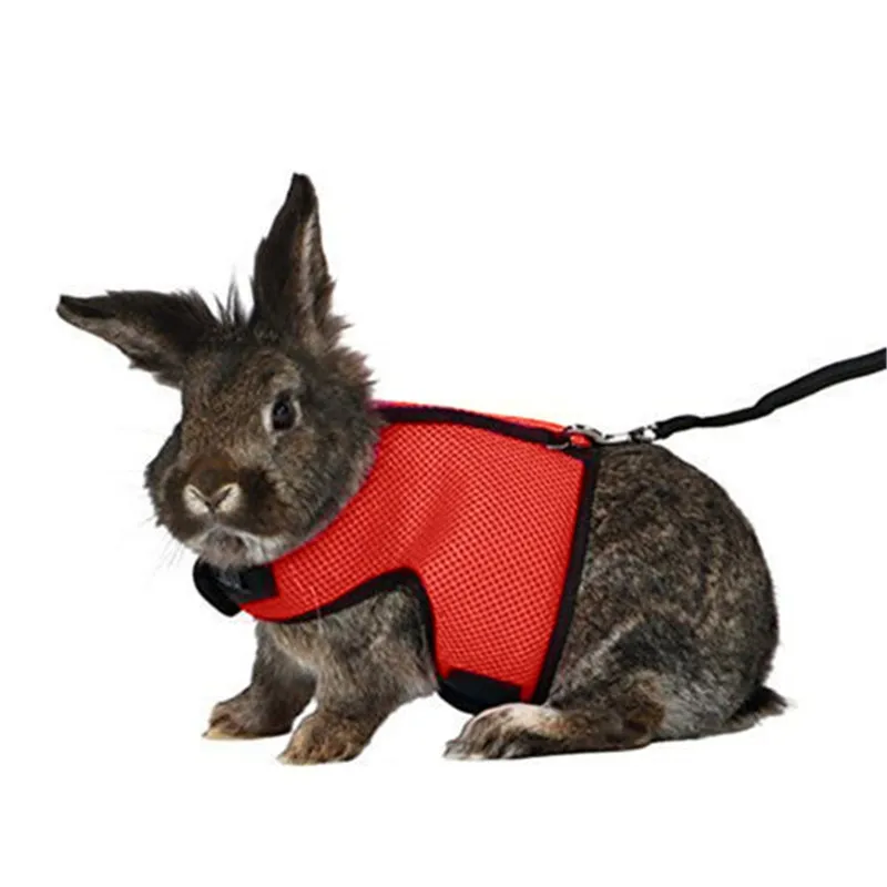 Pet Rabbit Hamster Harness Leashes Set Breathable Vest Harness for