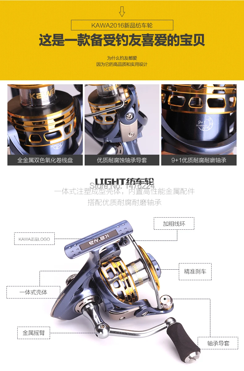 -LIGHT2.jpg