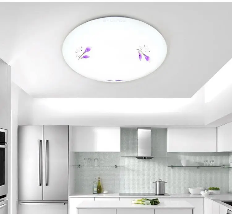 led ceiling lamp (5)