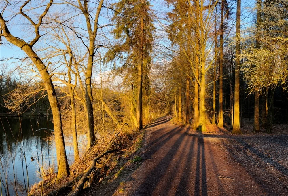 

Laeacco Lakeside Tree Passage Shadow Shine Scenic Photographic Backgrounds Customized Photography Backdrops For Photo Studio