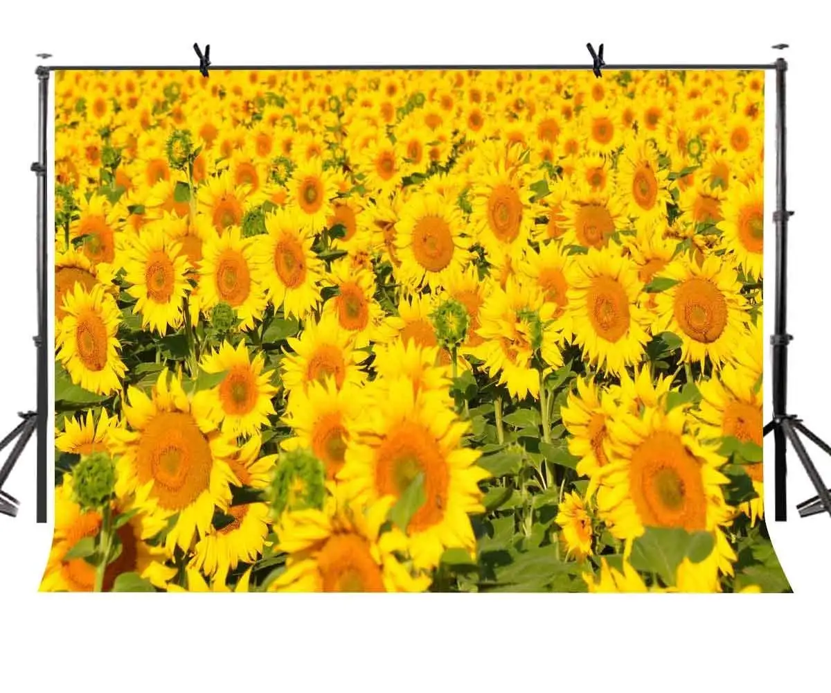

7x5ft Sunflower Backdrop Large Sunflower Beautiful Photography Background and Studio Photography Backdrop Props