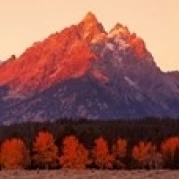 Aspens  Teton Range  Grand Teton National Park  Wyoming  USA Poster Print (18 x 6)