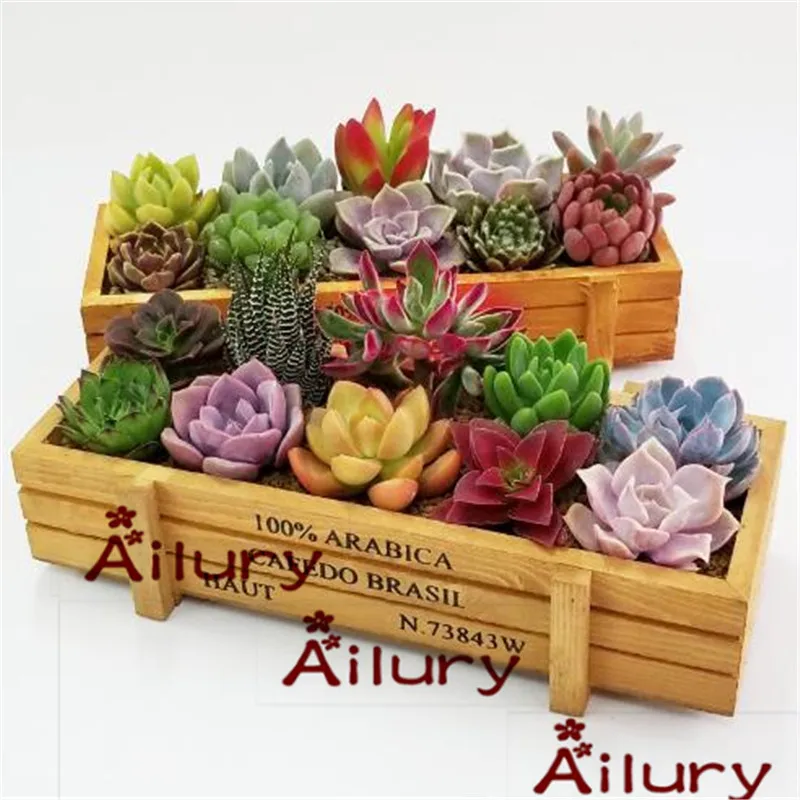 Aliexpress.com: Comprar Caja de plantas suculentas de madera Vintage