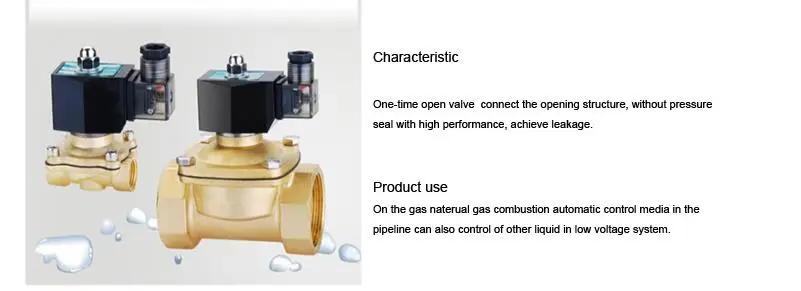 2 варианта сжиженного нефтяного газа латунный газовый электромагнитный клапан 3/4 220VAC DN20 Электрический 24V клапан нормально закрытый витон уплотнения