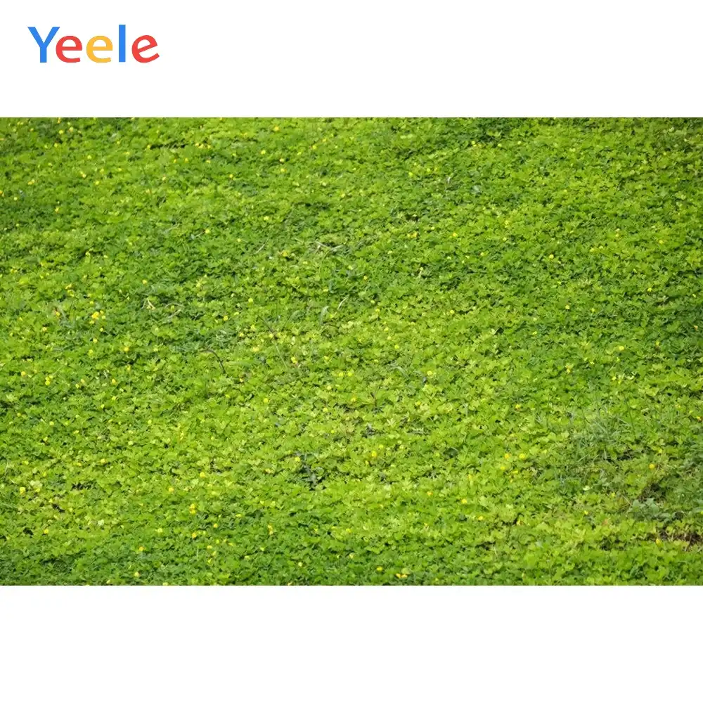 لوحة حيوانات خضراء اللون بألوان سادة من Yeele لصور الحيوانات الأليفة وسادة للرحلات القماشية صور خلفيات للتصوير الفوتوغرافي للاستوديو Background Aliexpress