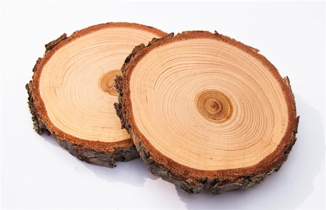 Wood Slices Multi Size Rustic Rounds With Rough Bark Wood Slices Multi Size Rustic Rounds With Rough Bark For Crafts