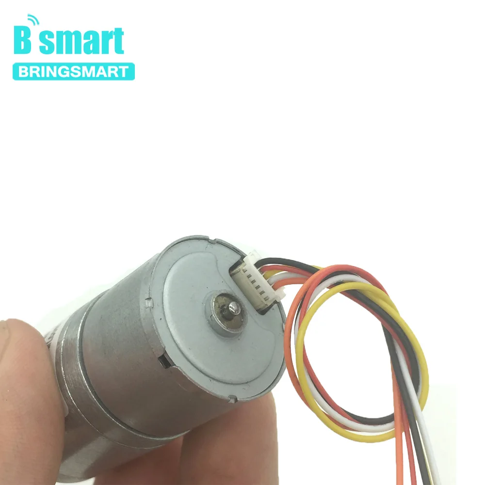 Bringsmart-for-Hair-Curler-JGA25-2418-Bldc-Gear-DC-Motor-12V-Motor-24V-Motor-Electrico-Reductor (4)