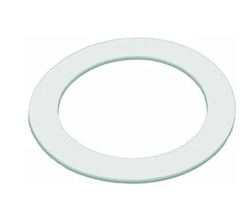 

Rancilio Teflon Gasket 65x47x1.5 Mm