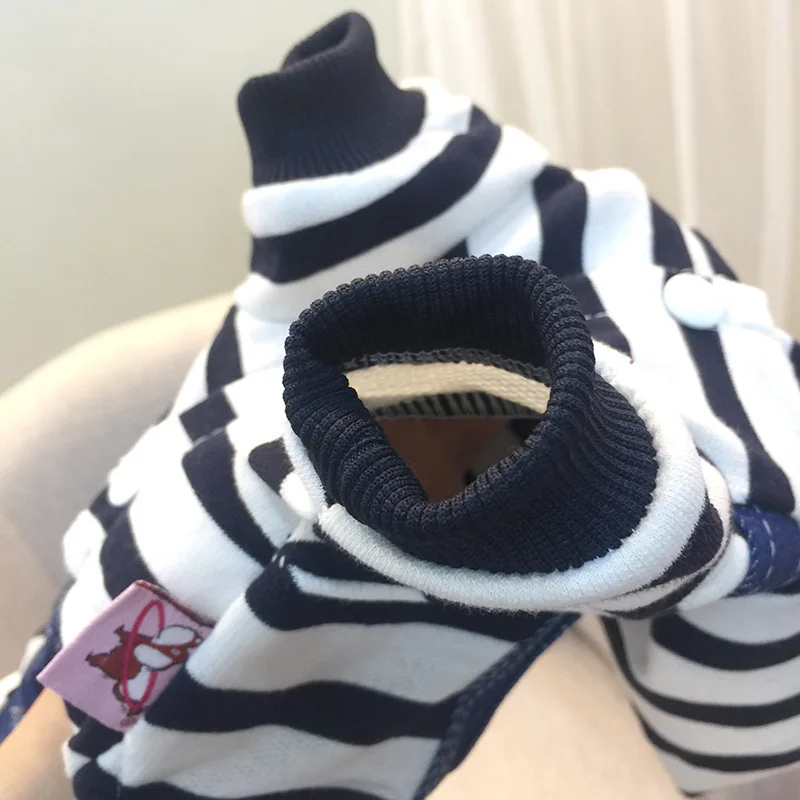 clothes chihuahua