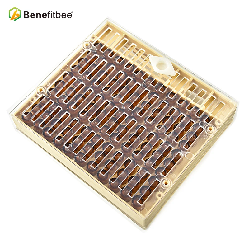 Выгода Apicultura пчеловодная королева Rearing Cup kit Box 110x коричневая система Cell Cupularve Tools