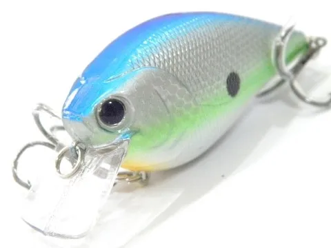 c429x62