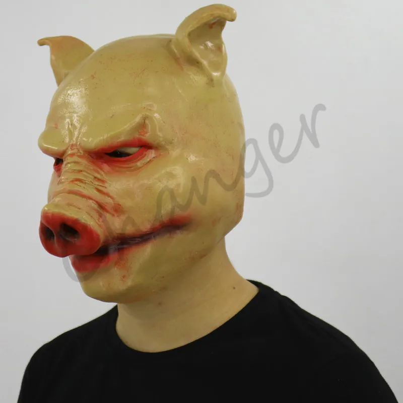26