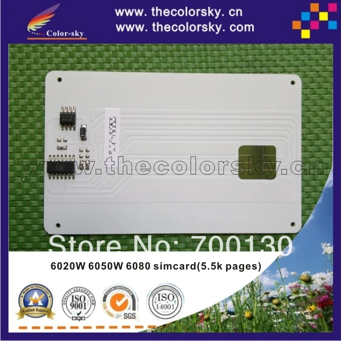 8 шт./лот чип смарт SD карты для Philips MFD 6020W 6050W 6080 6020 6050 sim-карты PFA822 5 K (CZ-PFA822) |