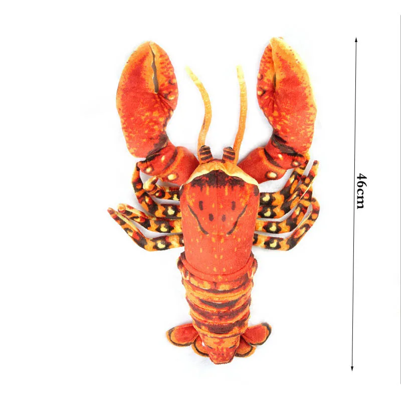Simulation Lobster1