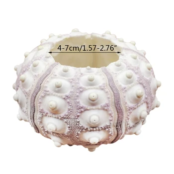 

Air Sea Urchin Tabletop Tillandsia Holder Miniature Gardening Decorations
