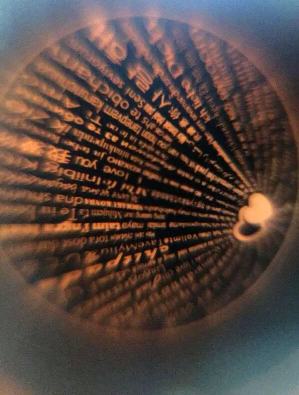 11066773353_1616157774