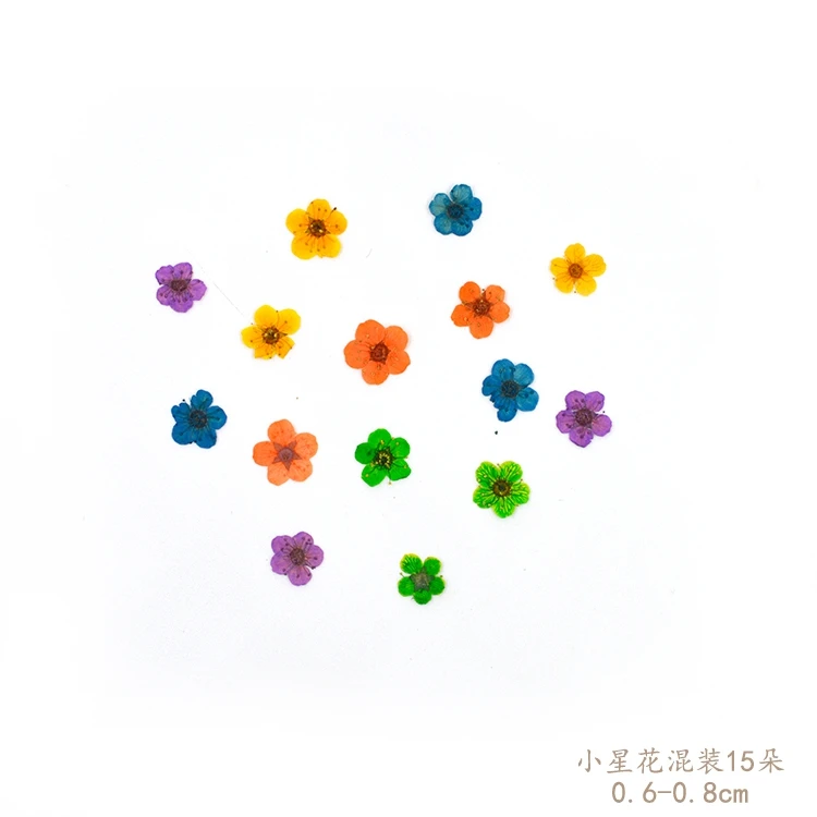 

Small star flowers diy dried flowers florizone glue natural branches free shipping