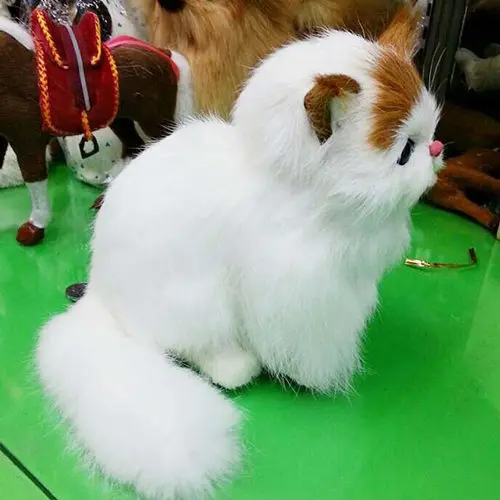 article plush cat kat soft animal 3