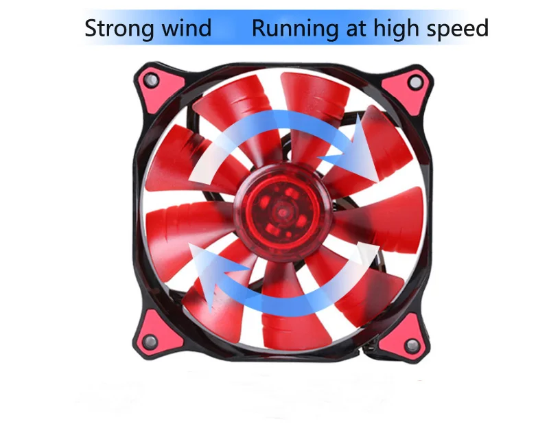D5