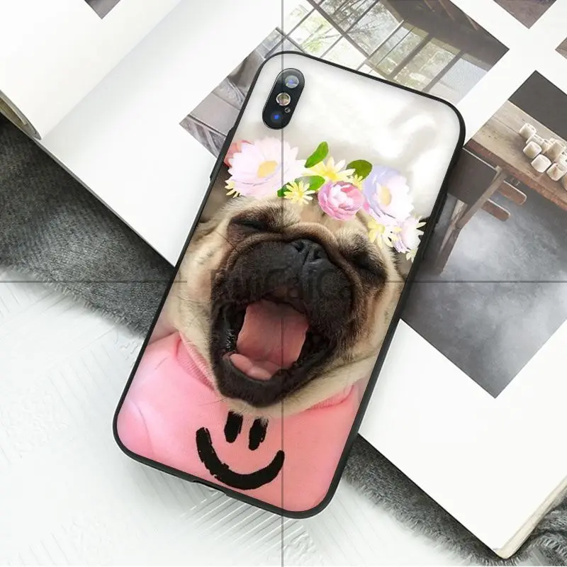 Animal cute pug