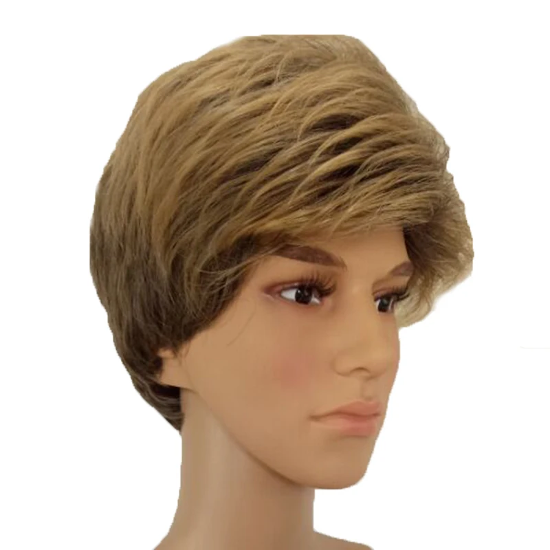 HAIRJOY Male Synthetic Ombre Hair Brown Mixed Short Straight Layered Natrural Wig Man High Temperature Fiber Wigs Free Shipping