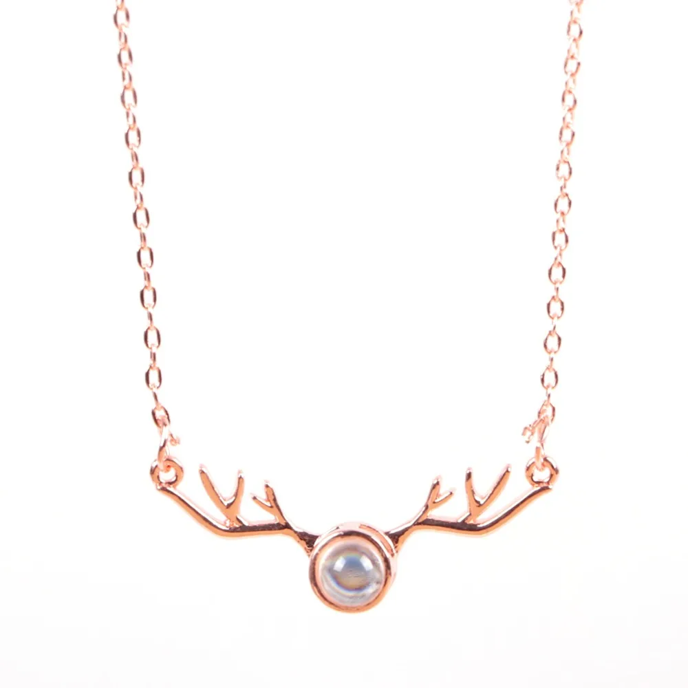 301274_no-logo_301274-2-03-p