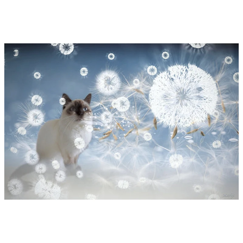 853125c6ff27f04b5eaaffc41e59f676-pq22gt