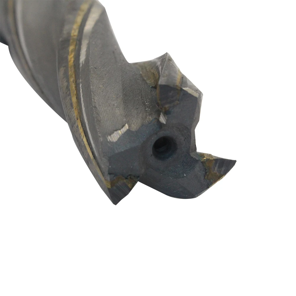 20×80 (3)