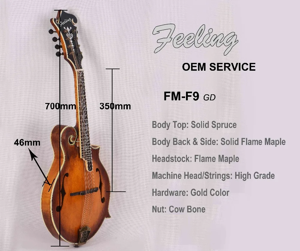 fm-F9 GD