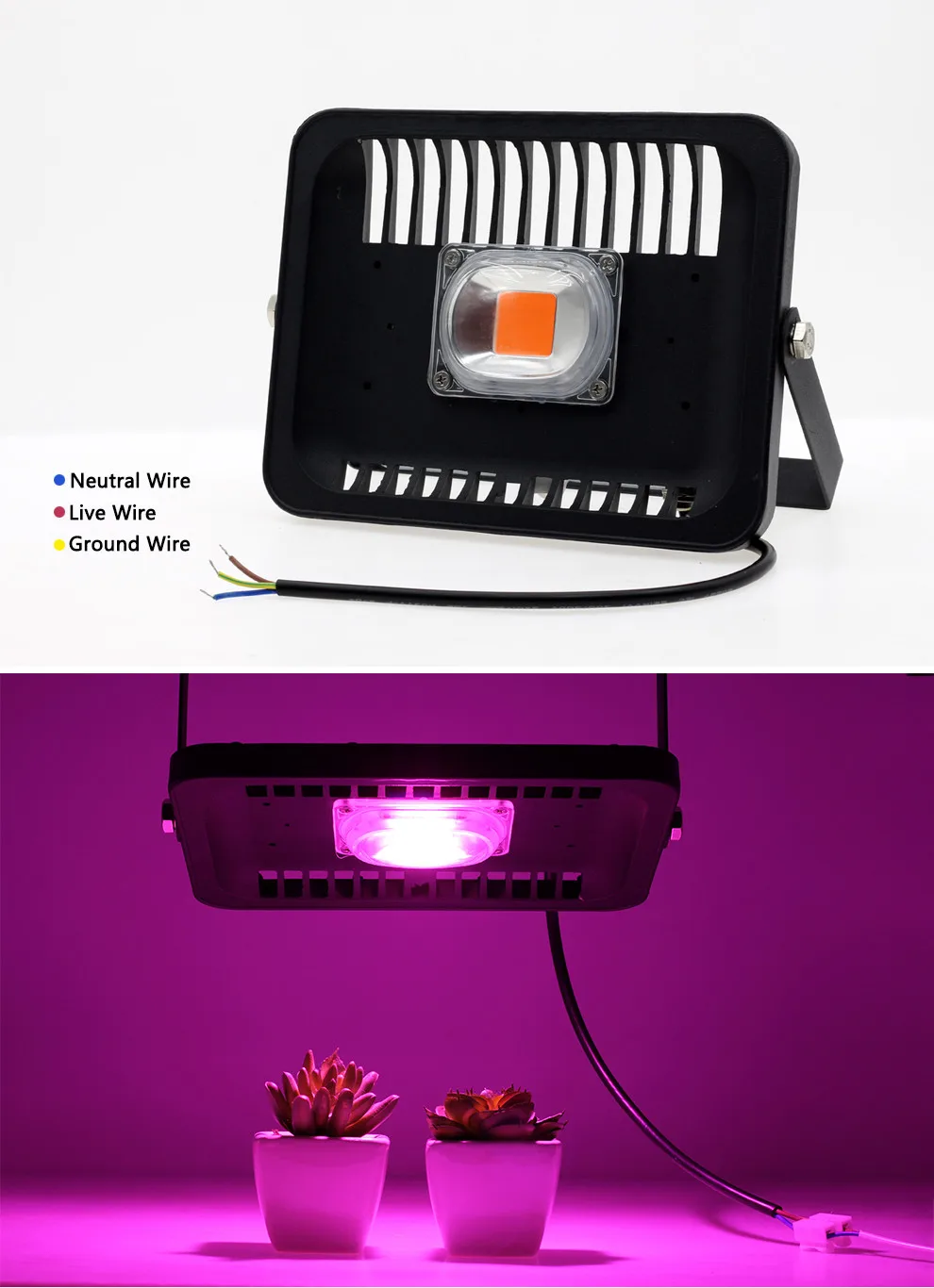 led grow floodlights  (6)