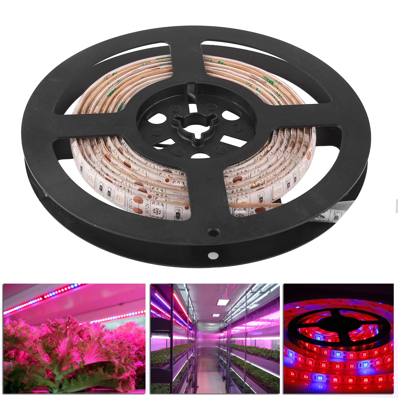 LemonBest LED Phyto Lamps Grow Lights SMD 5050 LED Strip Light DC12V