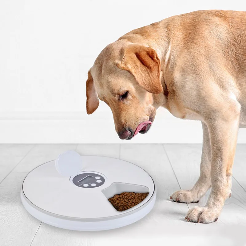 Цифровой таймер автоматический круглый питатель для домашних животных 6 дозатор еды для собак и кошек