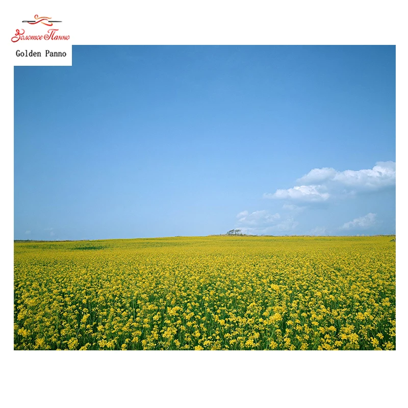 

Golden Panno,Needlework,DIY DMC Cross stitch,Sets For Embroidery kit 14ct unprinted Rape flowers cross-Stitching,christmas 0312